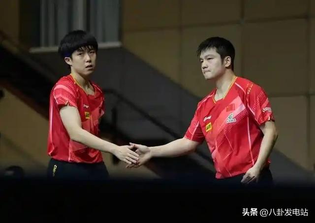 夺冠还不到24小时	，恶心的事出现了，原来樊振东和陈梦的处境一样