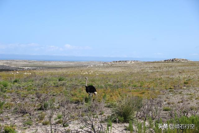 南部非洲：南非好旺角