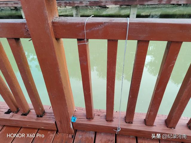 全国文明城市柘城县国家湿地公园榕湖斥巨资升级的人行栈道现状