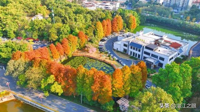 遛娃、约会、发呆…一份在韶关武江完美的晒太阳方案是这样↓