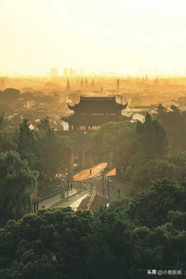 我等得花儿都...开了