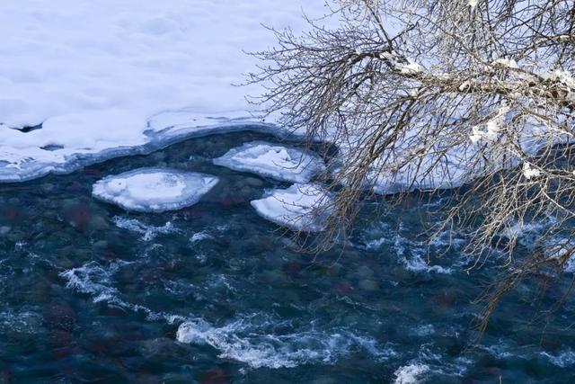 如要选一个冬季最佳拍雪景的地方，首选一定是它