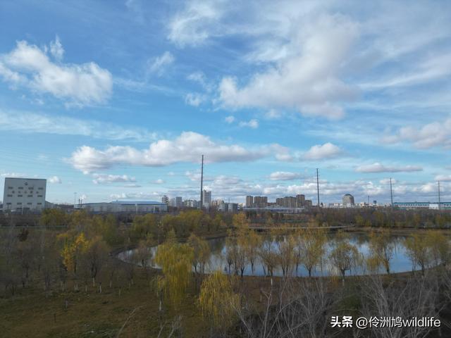 新疆昌吉头屯河公园