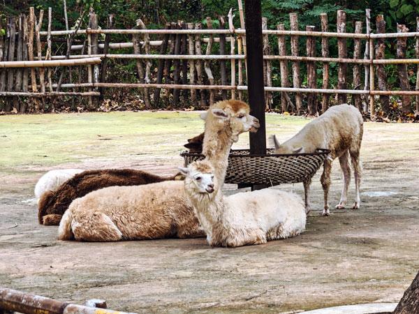 江西旅游：从白鹤湖到上饶集中营行 （图）