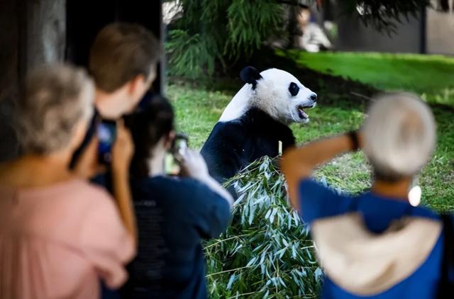 难怪马克龙笑得合不拢嘴	，刚一落地北京，中方就给足他排面