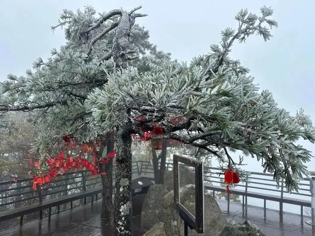 一侧浓彩层林尽染，一侧冰雪世界！南北分界线在此刻具象化！