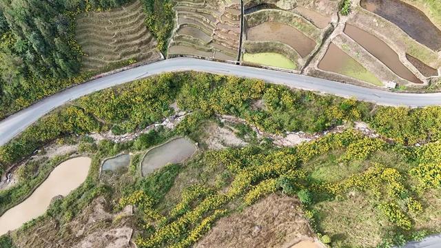 累了！就到这条路上走走，它也许是你逃离喧嚣的“心灵驿站”