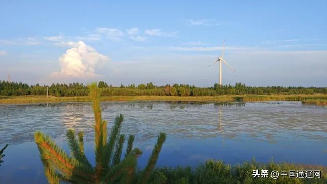 活力中国调研行 | 镜头见证→200万亩沙地绿浪奔涌，美景如画！