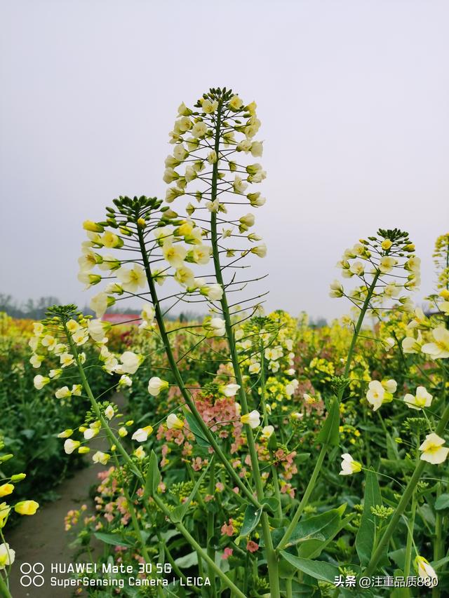据我实际体验，冬天不宜自驾游