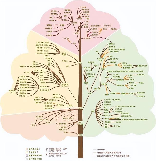 化妆品里添加米糠，真的能抗衰老吗？