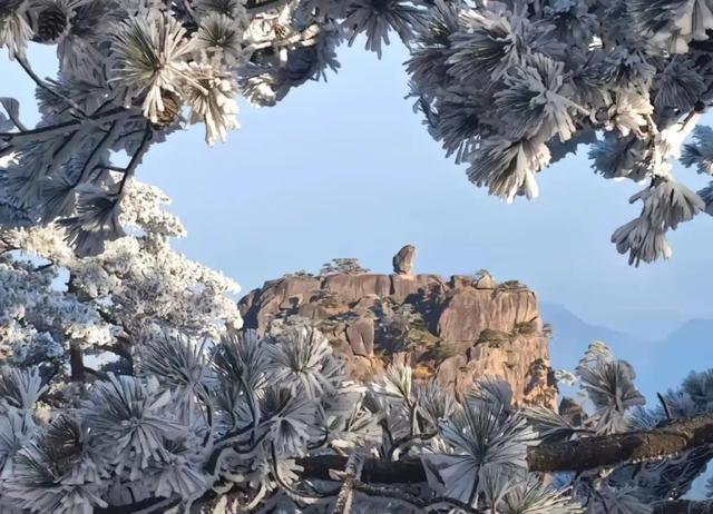 杨迪实名安利！炎炎夏日，来黄山“云”赏雪景降降温