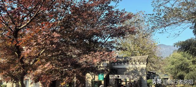 真是醉了，徒步奉化东西岙徐凫岩看悬崖飞瀑堵人竟然堵到怀疑人生