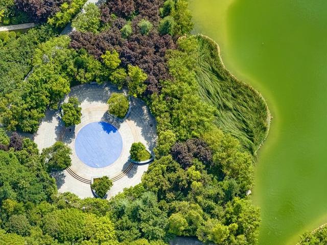 西安中湖公园 绿意盎然 园景如画