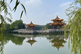 种桃道士归何处，前度刘郎今又来。这是一种生活态度图片