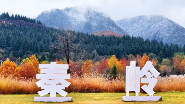 2025周至雪落！秦岭福地藏着水墨般的冬日浪漫～