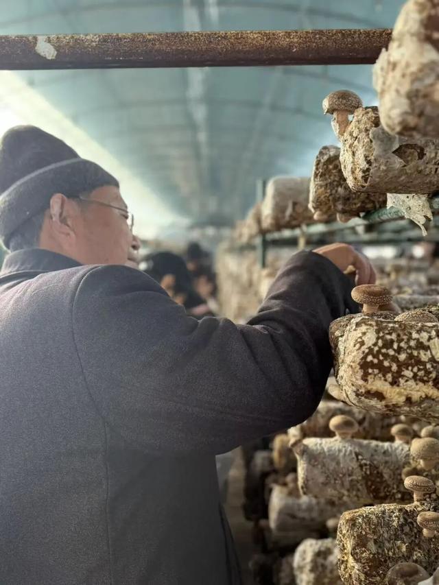 刚刚传来，颍东竟有这么多宝藏地？！今天，好多阜阳人都去了！直击现场......