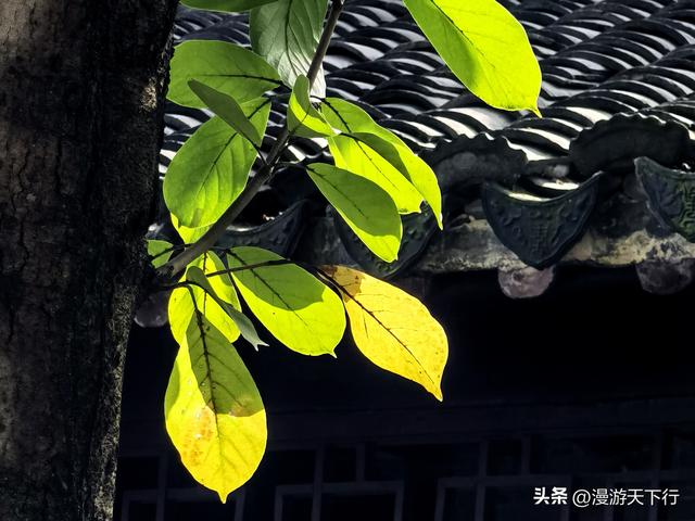 镇江三山一渡中，焦山是我的盘中菜，历史文化底蕴更为深厚