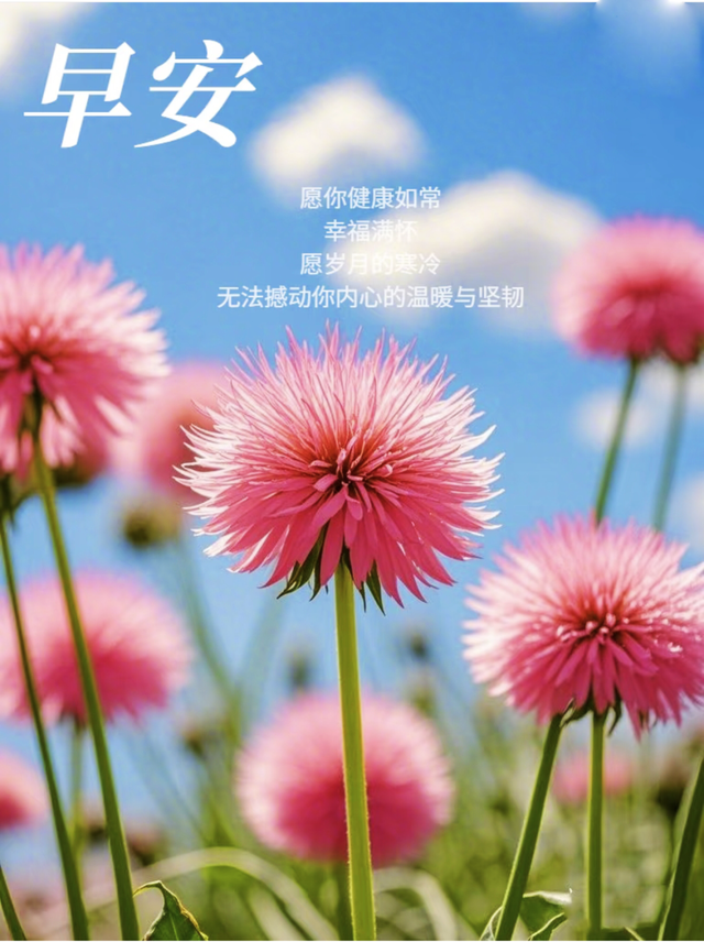 每日100句吉祥祝福语，最美的问候语大全，祝福朋友们快乐吉祥