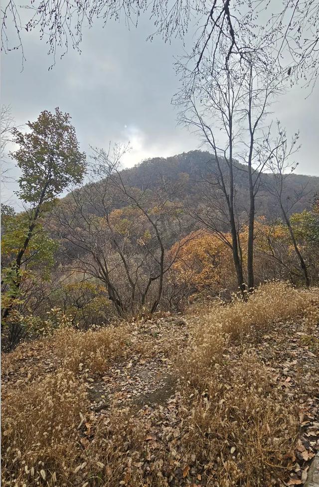 一脚踏进雪与秋的交界处，京郊深山里藏着深秋最温柔的惊喜！​