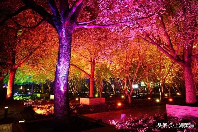 多图！一场跨越8天的光影森林“派对”已在黄浦滨江开启，大人小孩萌宠都能玩嗨！
