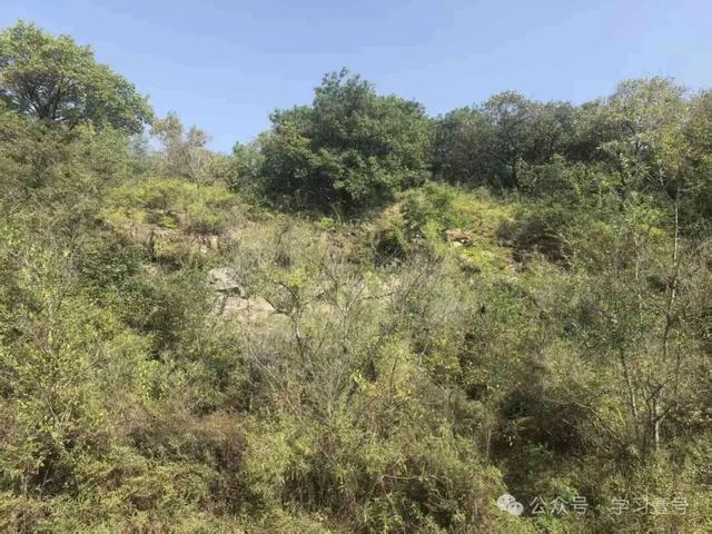 沈阳塔山寻宝记——历史地理视域下