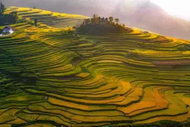 中国最大的十个梯田 1.元阳哈尼梯田 2.龙脊梯田 3.云和梯田图片