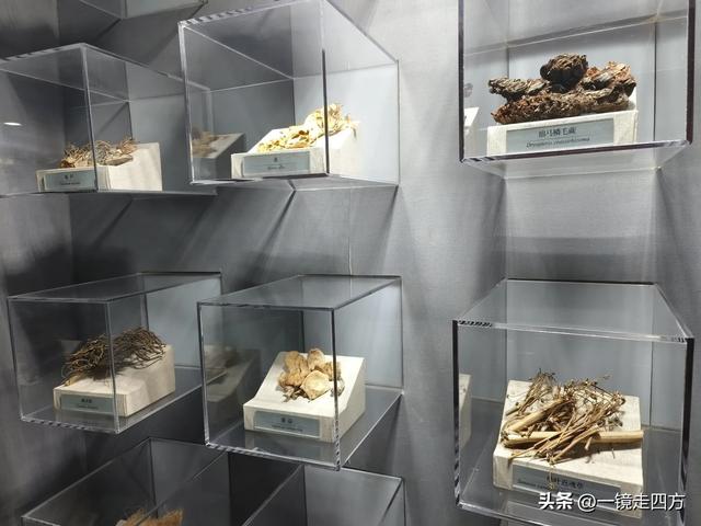 通化市自然博物馆