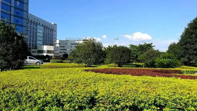 [广西 柳州市柳北区]