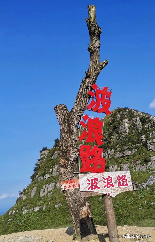 骑马、露营、看花海……这才是正确的打卡方式→