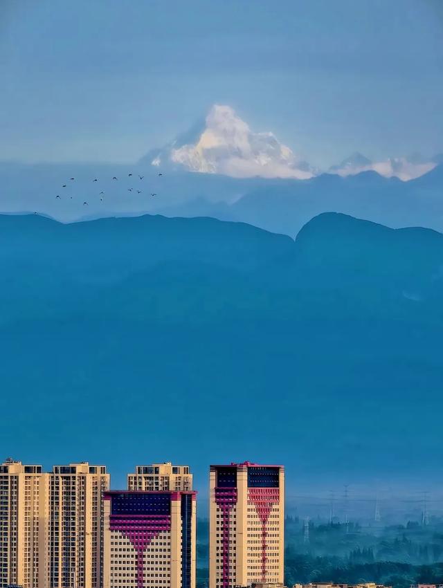 观世运 游温江 | 来温江必打卡的10件事！