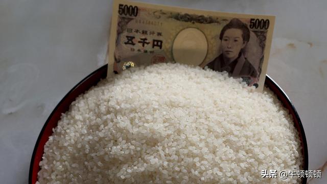 防“暴跌”还是保利益？日本大米调控的荒唐逻辑