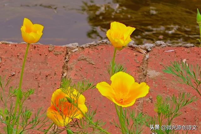 那些说走就走的旅行，悦了容颜，悦了心扉。