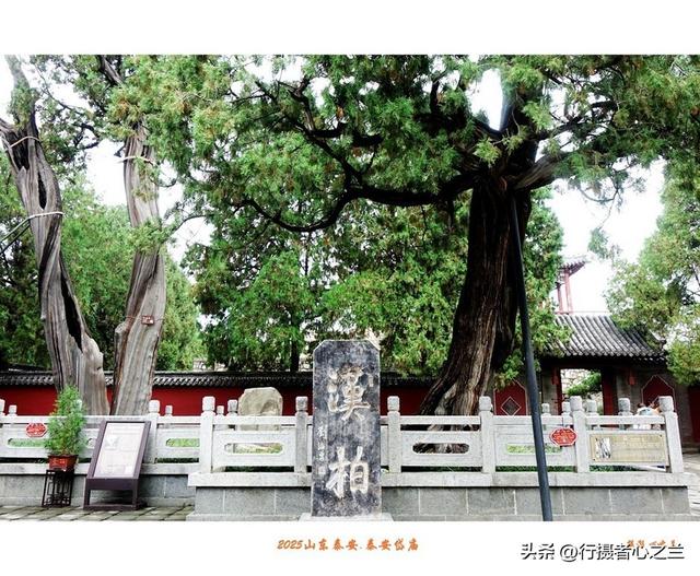 山东行游影记（307）—泰安岱庙（三）