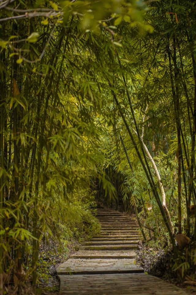 彭州这条“世界级”徒步线，走起！