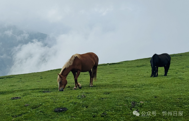 这里是五台山！