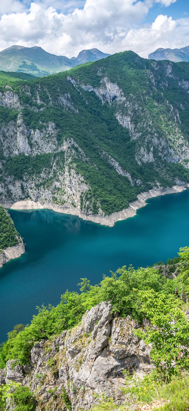 手机壁纸|清新自然，绿色风光美景