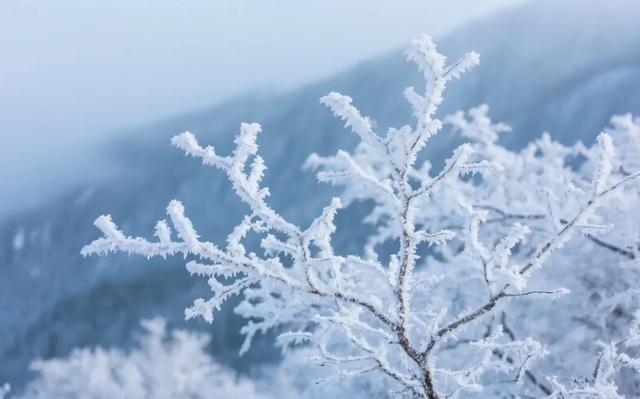 长白山冬日限定:冰封天池、雾凇魔界,一场与天地对话的旅程