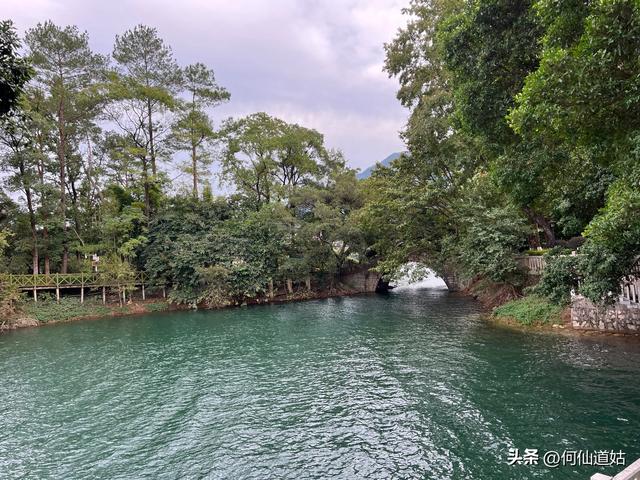 游流溪河森林公园