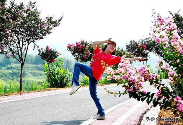 南漳：紫薇花争艳 游人醉其中