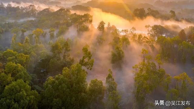 周末去打卡丨来吴江，“捡秋”！