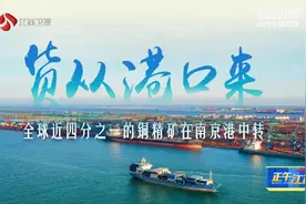 货从港口来 全球近四分之一的铜精矿在南京港中转图片