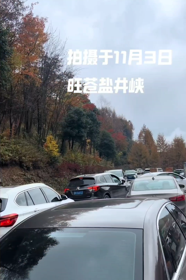 日均约2万人奔赴旺苍县红叶盛景