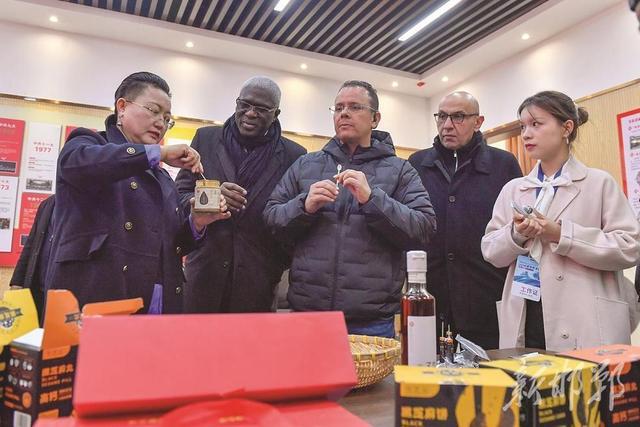 驻华外交官邯郸行 | 机遇中国—2025驻华外交官邯郸行走进临漳和大名