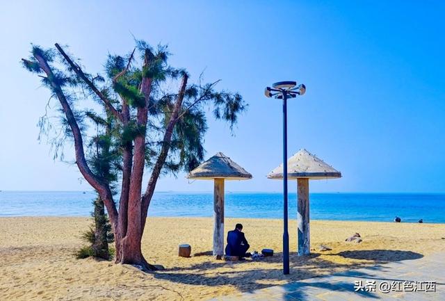 极南暖冬里，艺术在蚝壳上发光