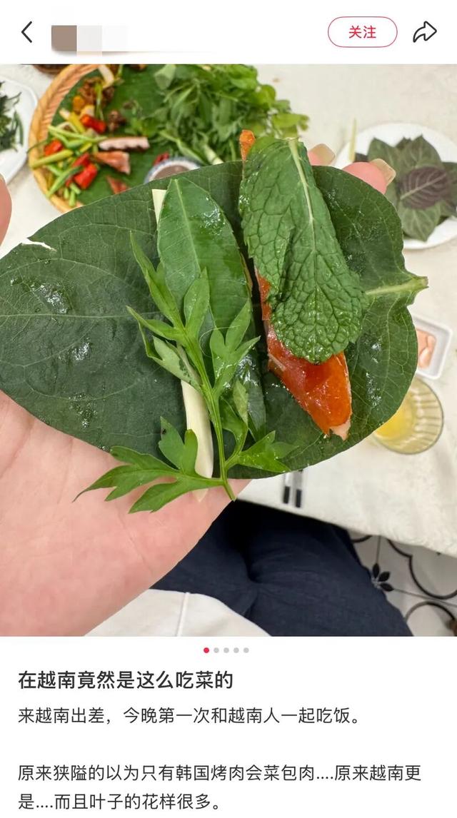 地理冷知识—越南的吸管