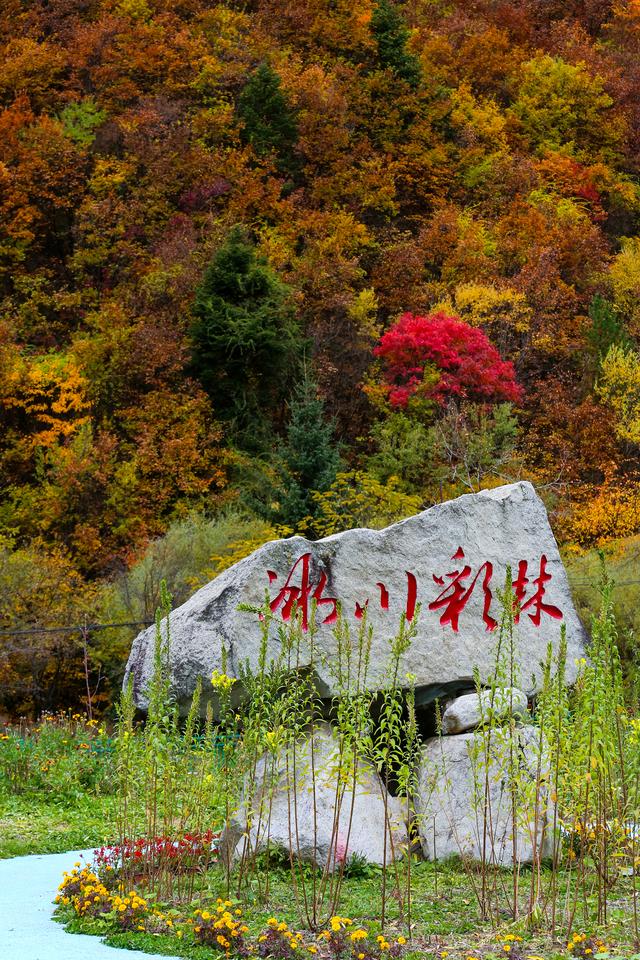 光影札记 | 黑水彩林：八十里画廊的彩林，藏着川西最绚烂的秋