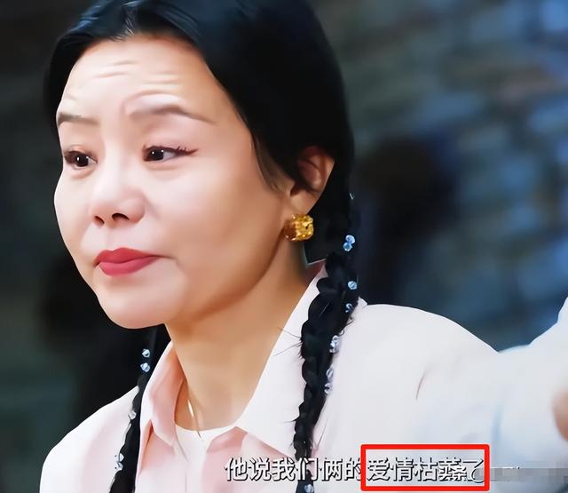 离婚10个月后，龚琳娜自曝和丈夫离婚内幕，原来对方喜欢奥地利的