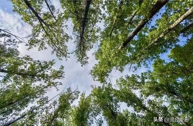 庆农业丰收 享美好生活丨魅力乡村中秋游——中台镇康家沟村