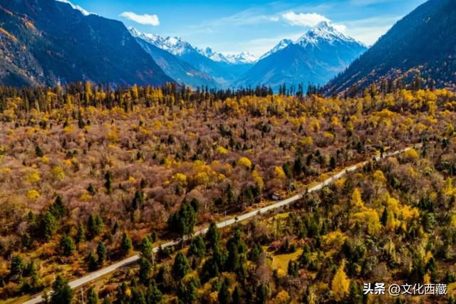 挖到国内巅峰秋景！半山秋色半山雪，不来西藏这里真的亏大了！