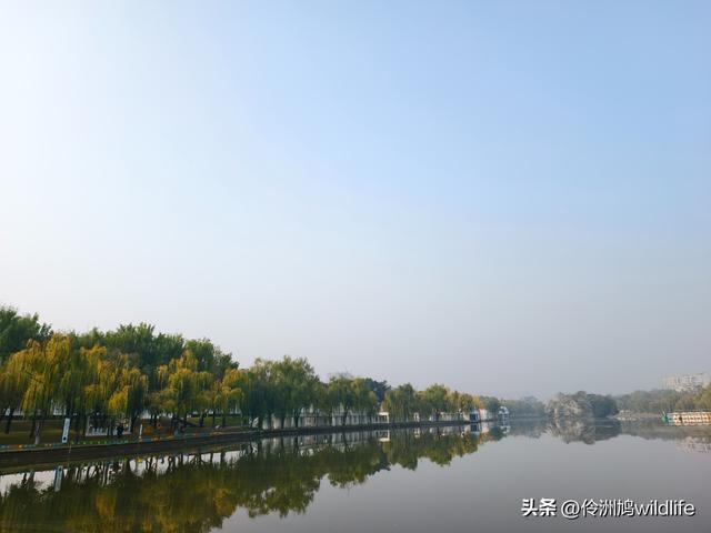 四川行(75)广汉②金雁湖公园·黑塔街·龙居寺